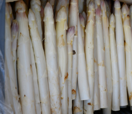 Gemüse des Monats Mai – Spargel